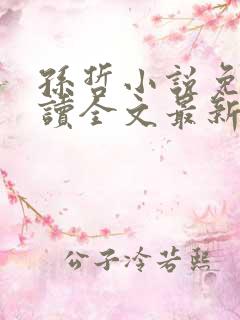 孙哲小说免费阅读全文最新章节