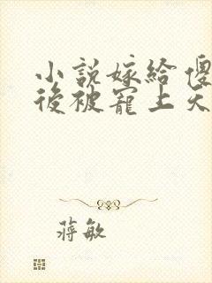 小说嫁给傻王爷后被宠上天