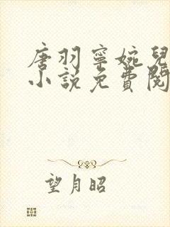 唐羽宁婉儿穿越小说免费阅读