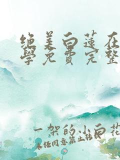 绝美白莲在线教学免费完整小说