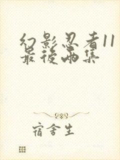 幻影忍者11季最后两集