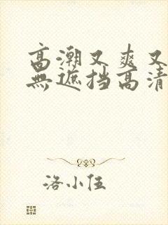 高潮又爽又黄又无遮挡高清