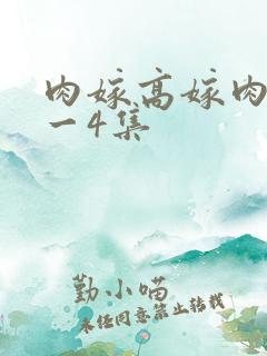 肉嫁高嫁肉柳1一4集