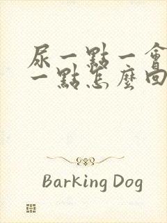 尿一点一会又尿一点怎么回事