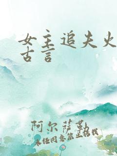 女主追夫火葬场古言