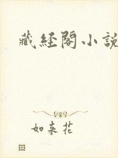 藏经阁小说网