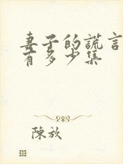 妻子的谎言一共有多少集