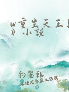 w重生天王巨星》小说