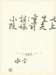 小说:重生七零改嫁前夫上司