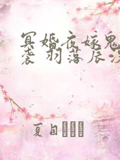 冥婚夜嫁鬼夫来袭 羽落辰汐