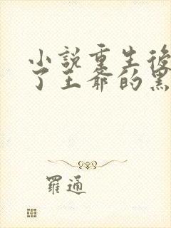 小说重生后我成了王爷的黑月光免费