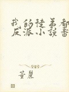 我的徒弟都是大反派小说番外