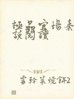 极品官场秦峰小说阅读