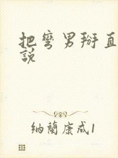 把弯男掰直的小说