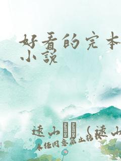 好看的完本末世小说