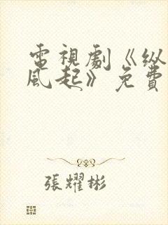 电视剧《纵有疾风起》免费观看