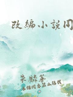 改编小说同人版