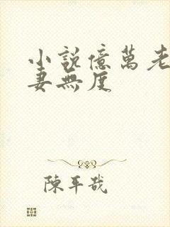 小说亿万老公宠妻无度