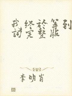 我终于等到你歌词完整版