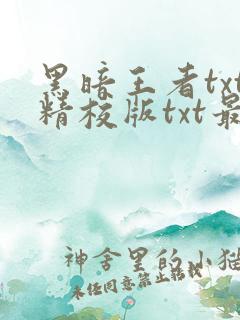 黑暗王者txt精校版txt最新章节