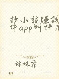 抄小说赚钱的软件app叫什么