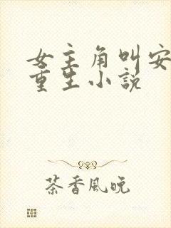 女主角叫安夏的重生小说