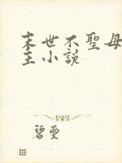 末世不圣母无女主小说