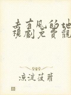 去有风的地方电视剧免费观看完整版高清谍战