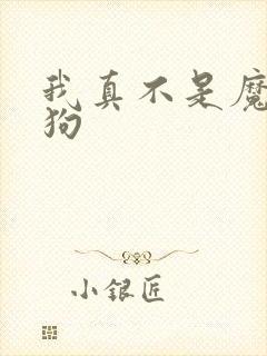 我真不是魔神走狗