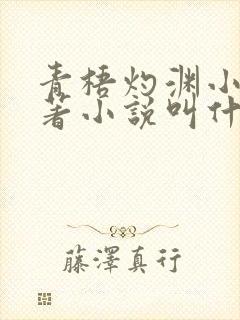 青梧灼渊小说原著小说叫什么名字