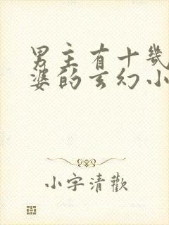 男主有十几个老婆的玄幻小说