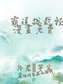 霸道总裁轻点爱 漫画免费