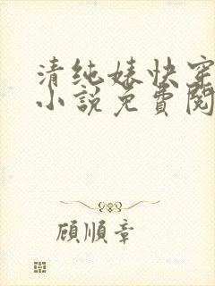 清纯婊快穿日常小说免费阅读