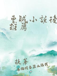 曹贼小说后宫文推荐