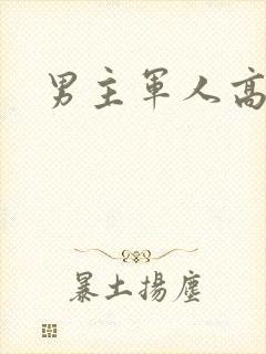 男主军人高干文