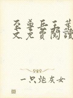 至尊兵王叶洛全文免费阅读