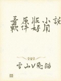 看原版小说什么软件好用