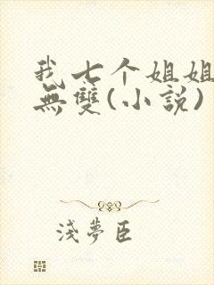 我七个姐姐绝世无双(小说)