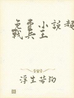 免费小说超级特战兵王