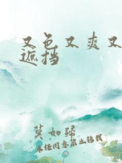 又色又爽又黄无遮挡