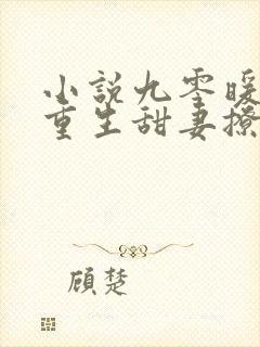 小说九零暖婚:重生甜妻撩夫忙