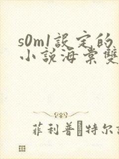 s0m1设定的小说海棠双男主