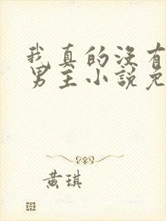 我真的没有想抢男主小说免费阅读