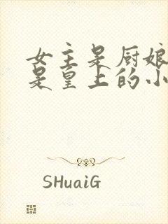 女主是厨娘男主是皇上的小说