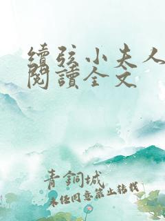 续弦小夫人小说阅读全文