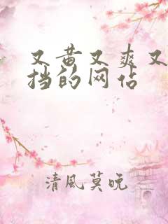 又黄又爽又无遮挡的网站