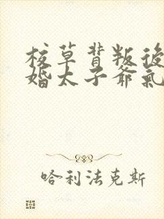 校草背叛后我闪婚太子爷气疯他苏念笙小说