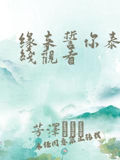 缘来誓你泰剧在线观看