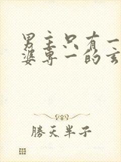 男主只有一个老婆专一的玄幻小说