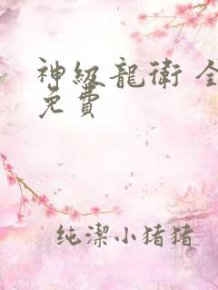 神级龙卫 全集免费